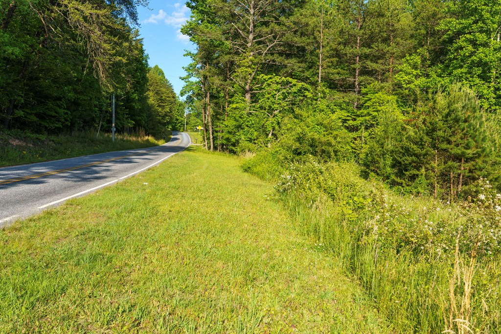 TR 1&2 W Gum Log Road