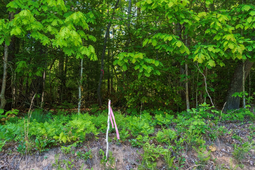 TR 1&2 W Gum Log Road