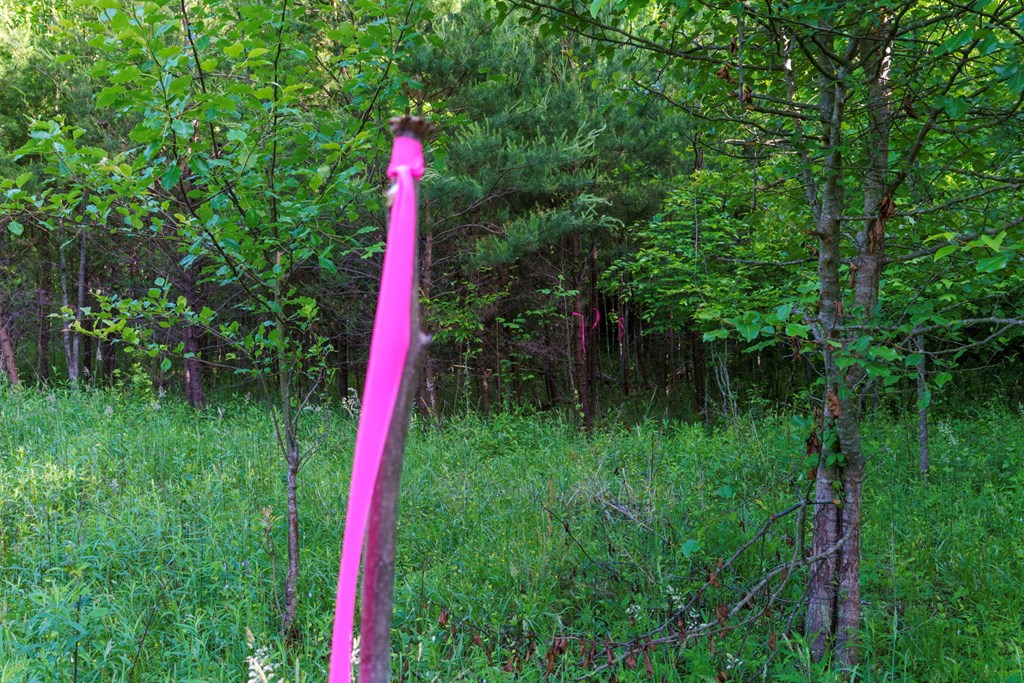 TR 1&2 W Gum Log Road