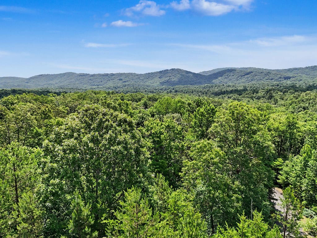 383 Rustic Barn Trail