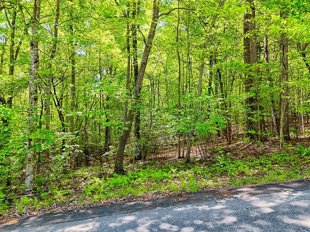 Lots 3&5 Cozy Cove Road