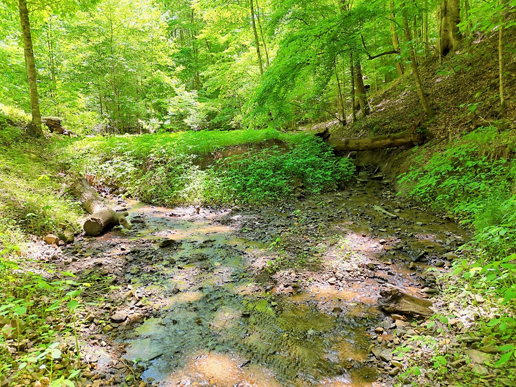 1127 Burch Branch Road