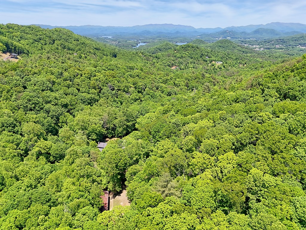 1127 Burch Branch Road
