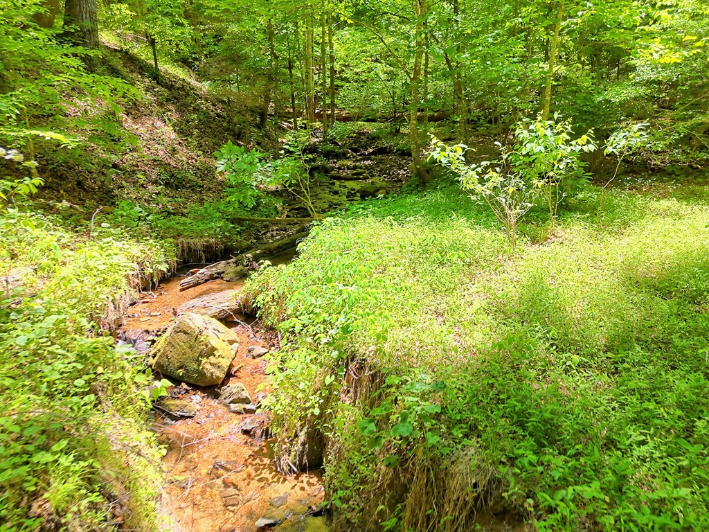 1127 Burch Branch Road