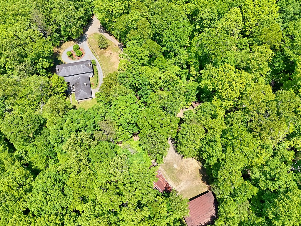 1127 Burch Branch Road