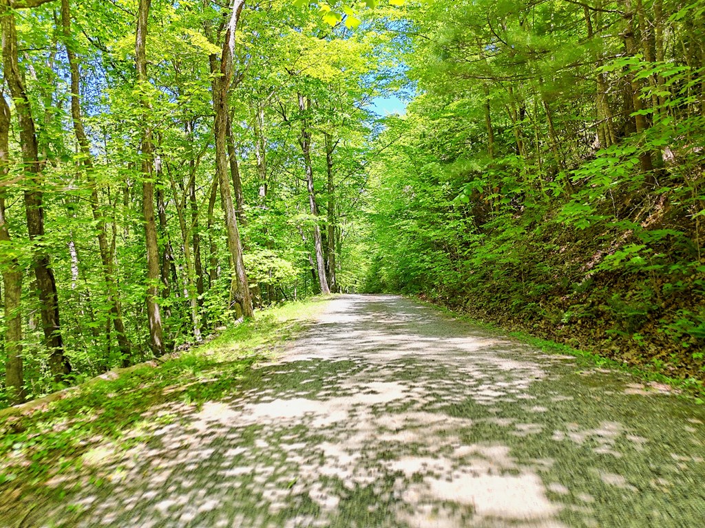 1127 Burch Branch Road