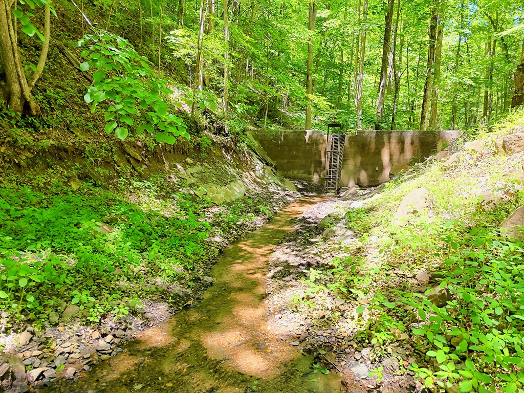 1127 Burch Branch Road