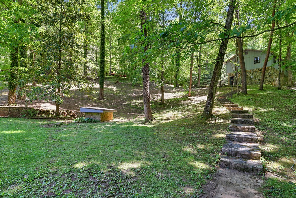 1127 Burch Branch Road