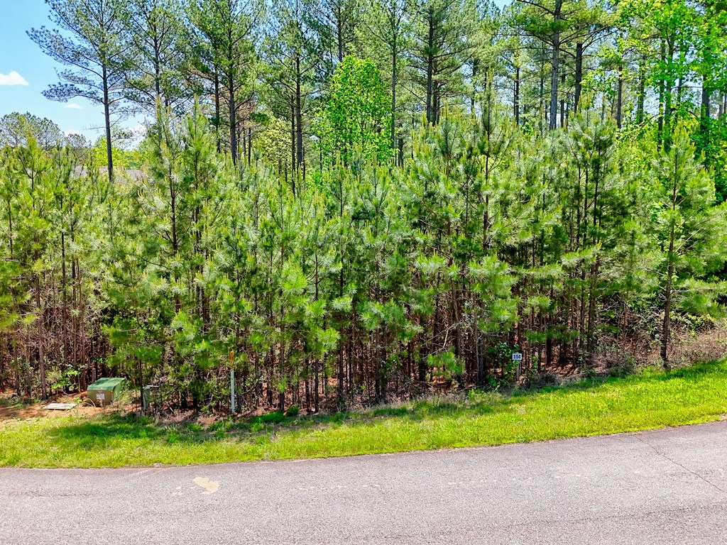 Lot 114 Sandy Lake Lane