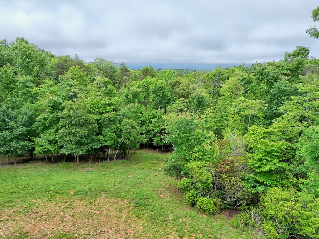 234 Pheasant Trail