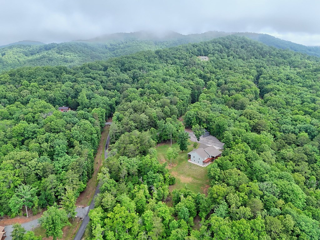 234 Pheasant Trail