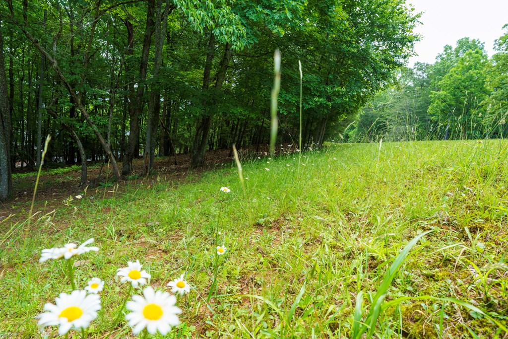 Lot 13 Deaver Cove Road