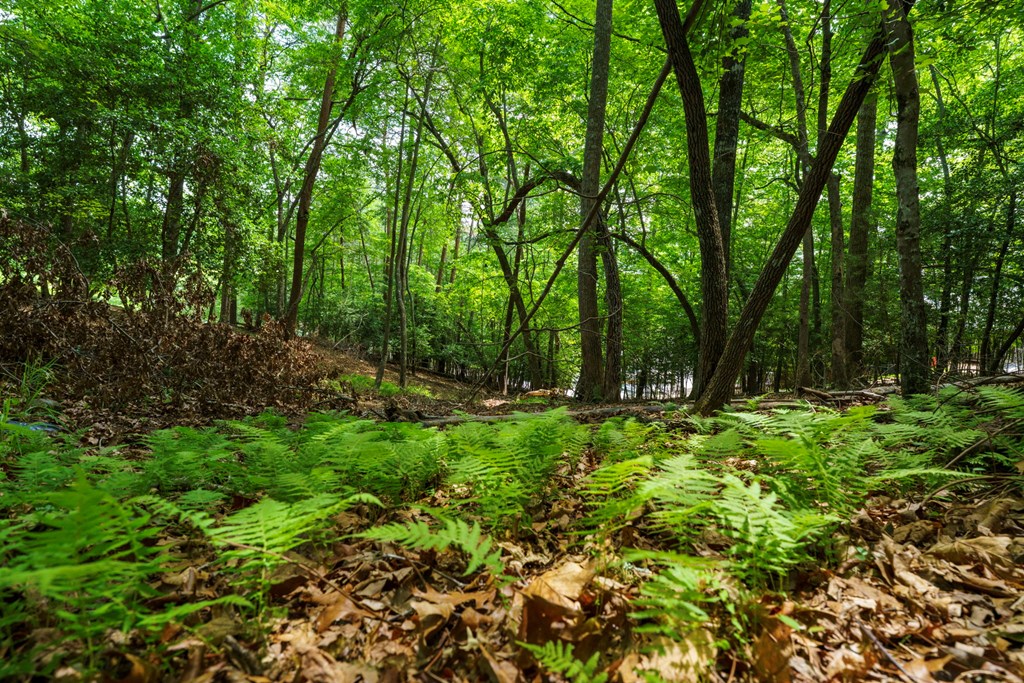 Lot 13 Deaver Cove Road
