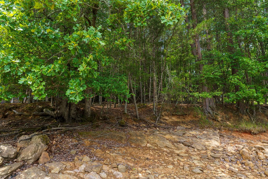 Lot 13 Deaver Cove Road