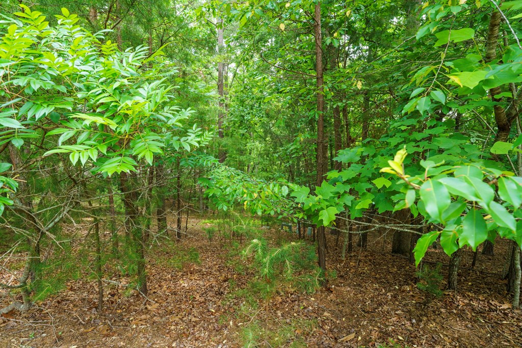 Lot 13 Deaver Cove Road