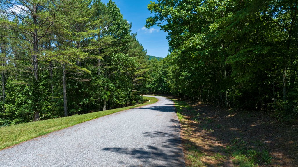 Lot 21 Loftis Mountain