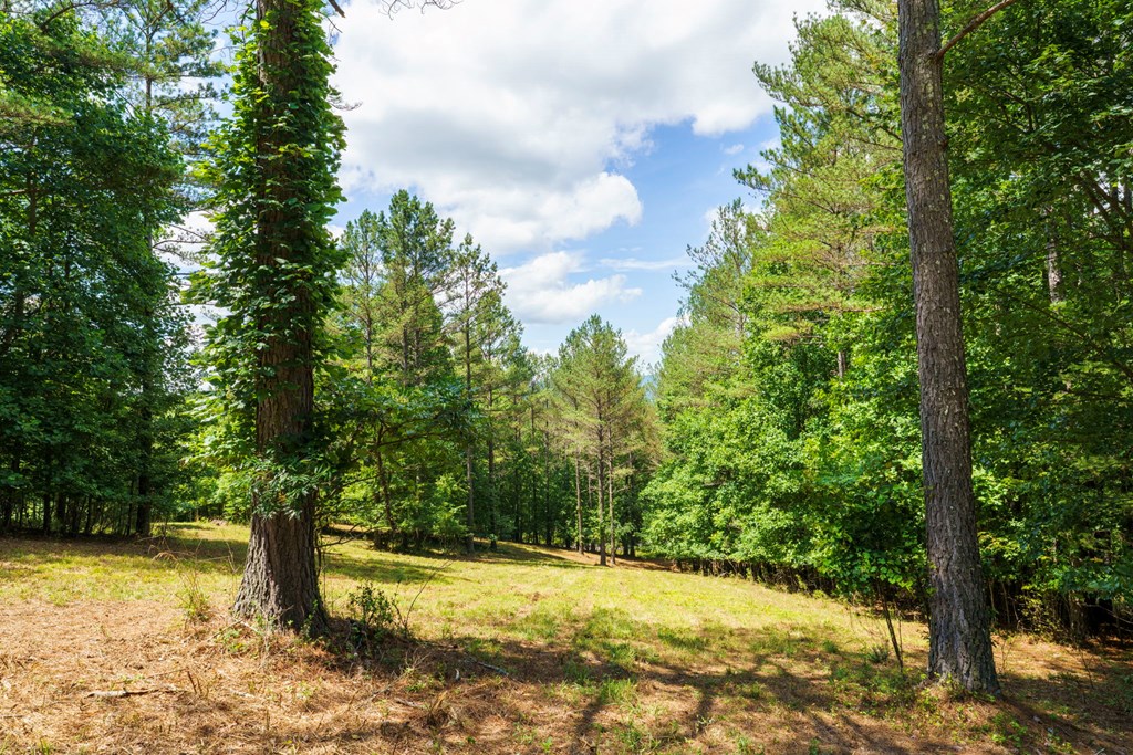 Lot 21 Loftis Mountain