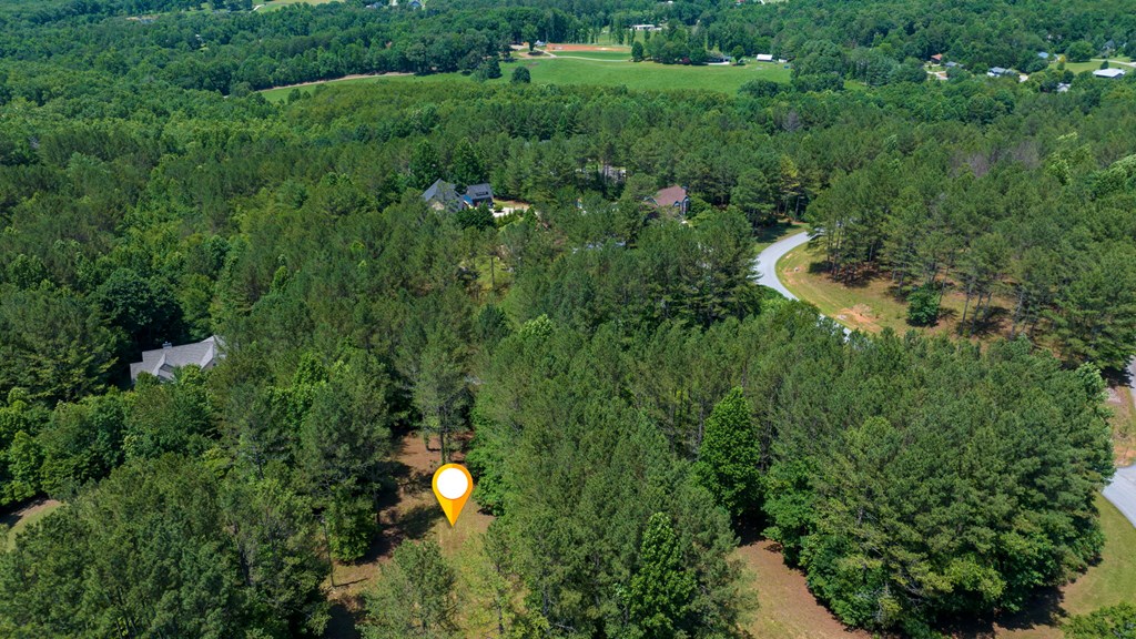 Lot 21 Loftis Mountain