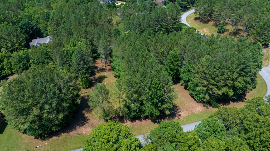 Lot 21 Loftis Mountain