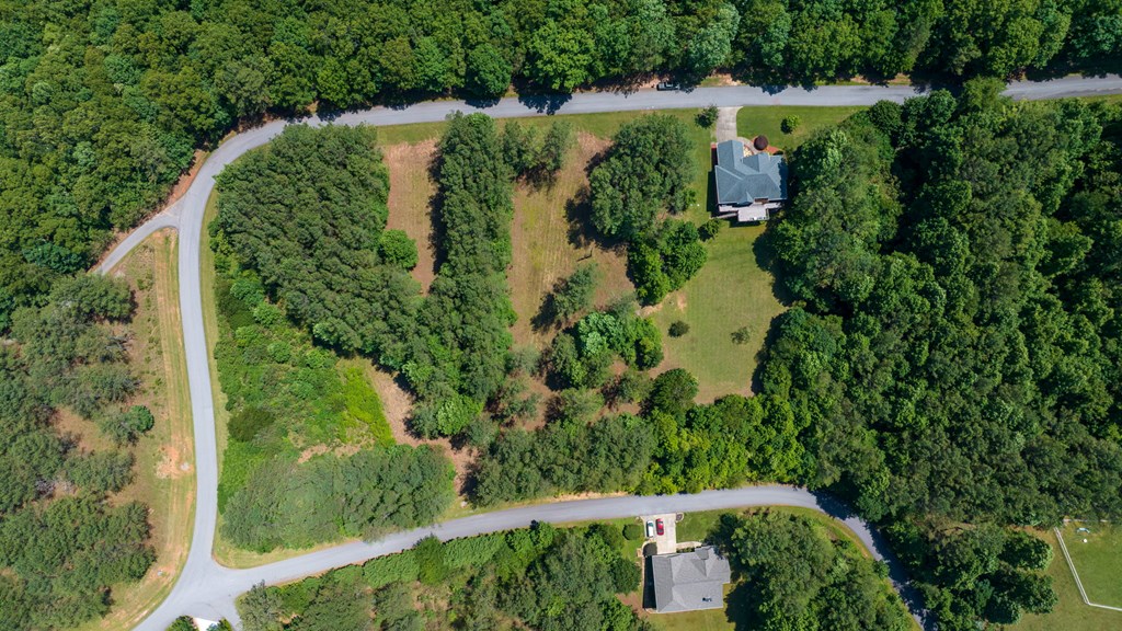 Lot 21 Loftis Mountain