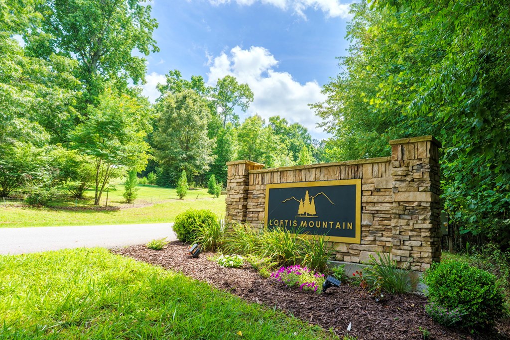 Lot 21 Loftis Mountain