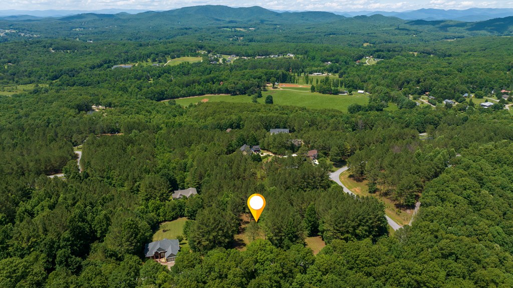 Lot 21 Loftis Mountain