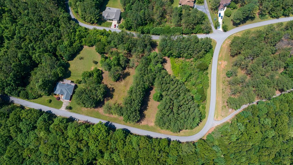 Lot 21 Loftis Mountain