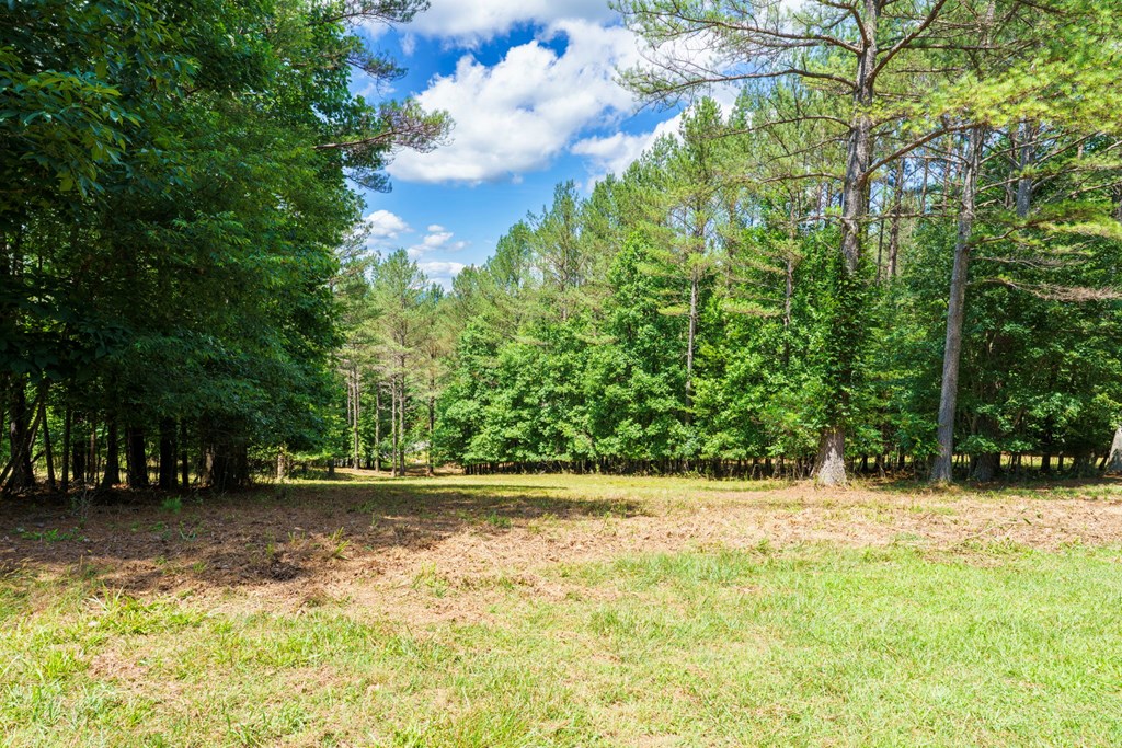 Lot 20 Loftis Mountain