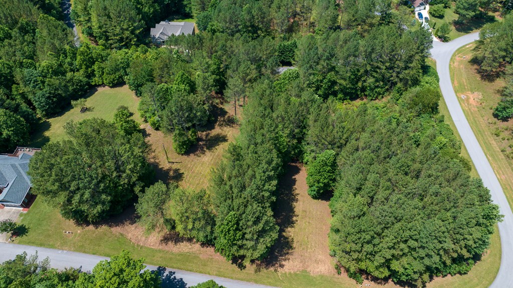 Lot 20 Loftis Mountain