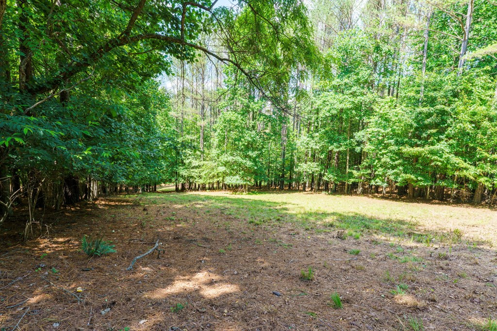 Lot 20 Loftis Mountain