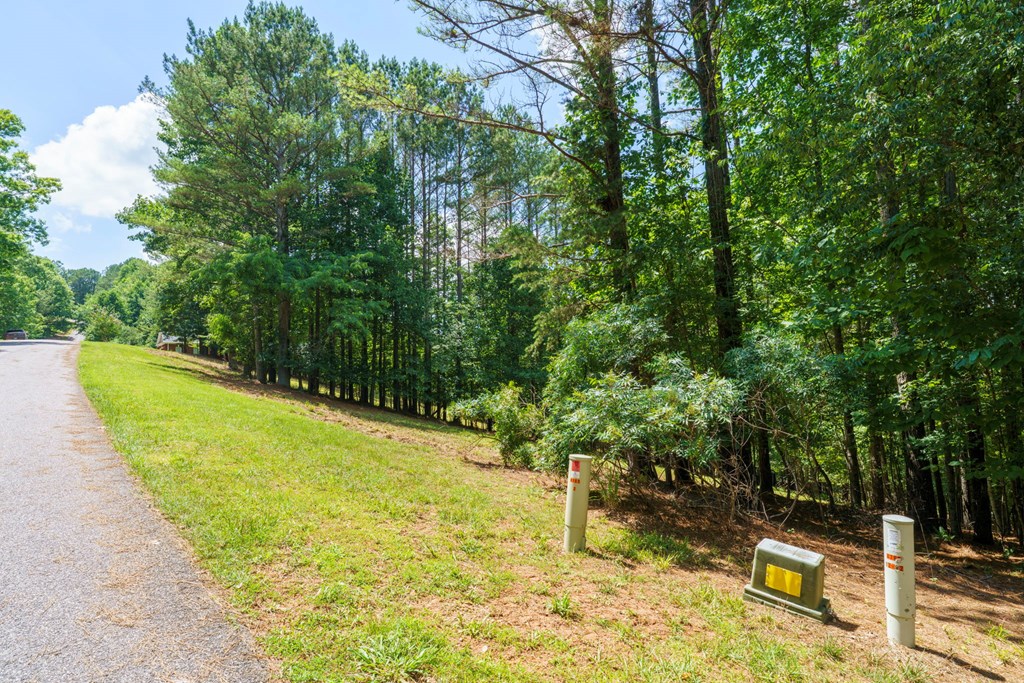 Lot 20 Loftis Mountain