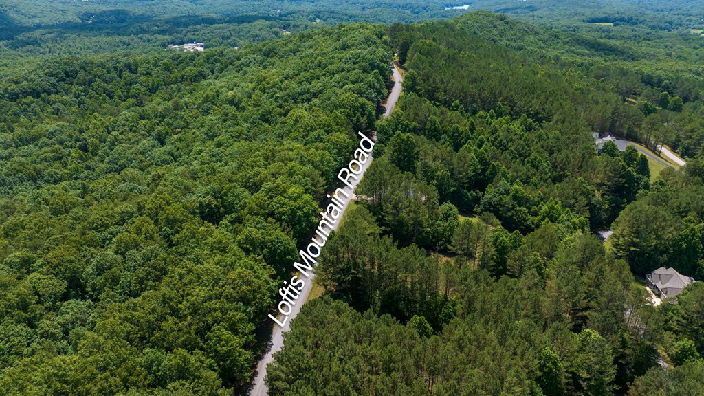 Lot 20 Loftis Mountain