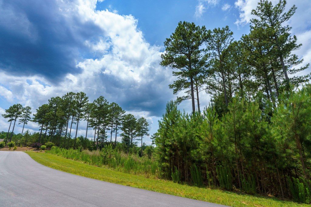 Lot 343 Loop Lane