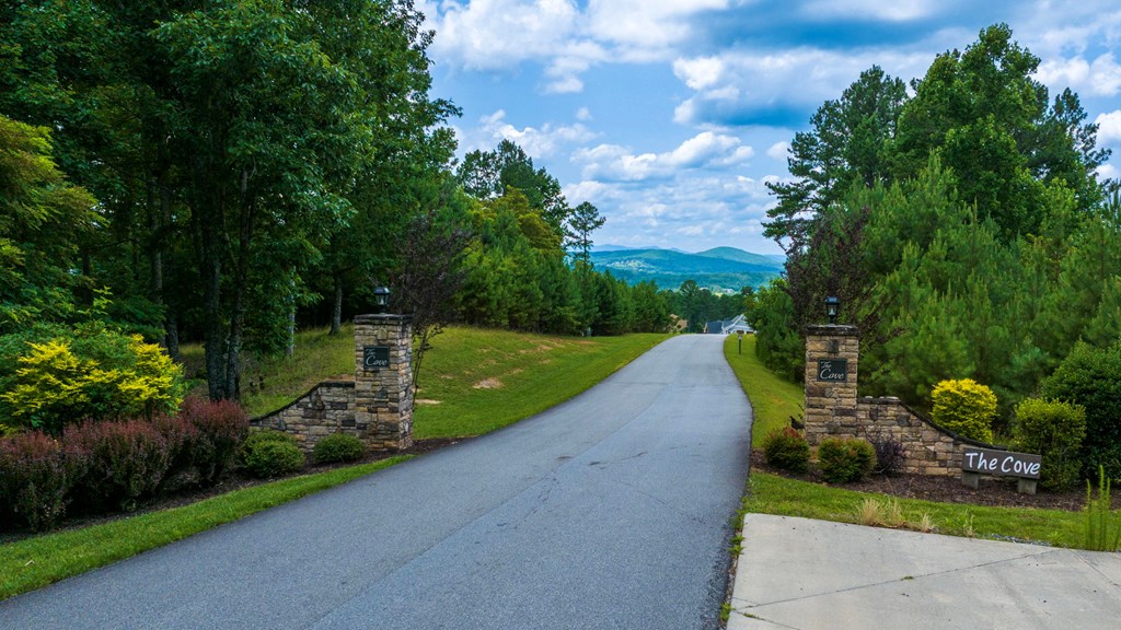 Lot 343 Loop Lane