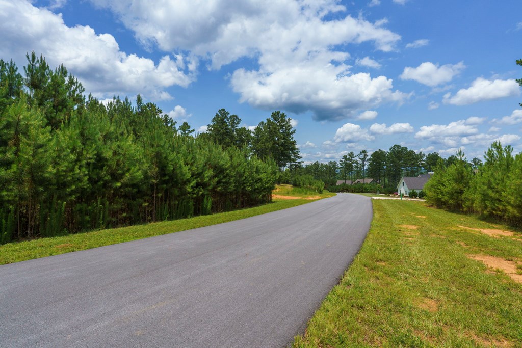 Lot 343 Loop Lane