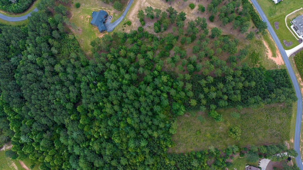 Lot 343 Loop Lane