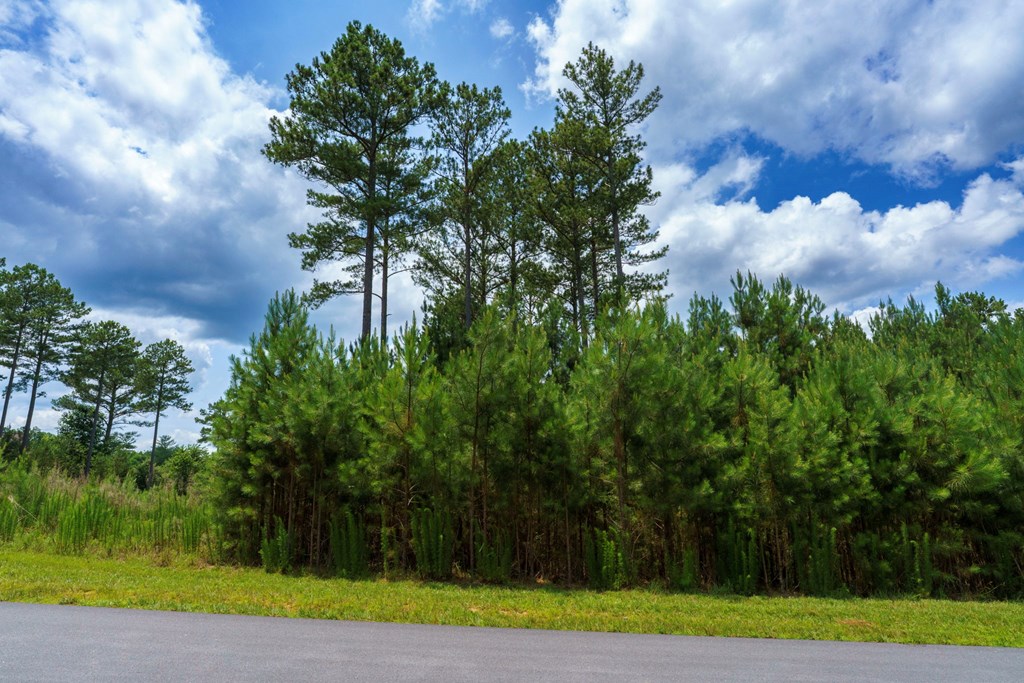Lot 343 Loop Lane