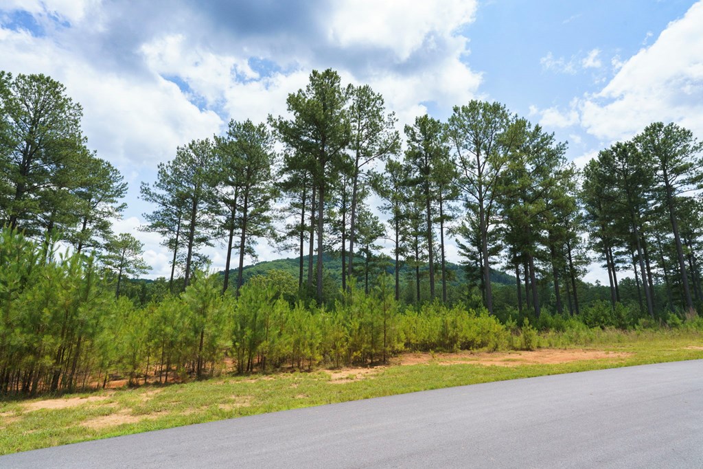 Lot 343 Loop Lane