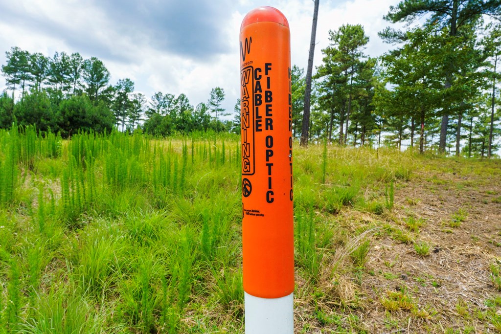 Lot 343 Loop Lane