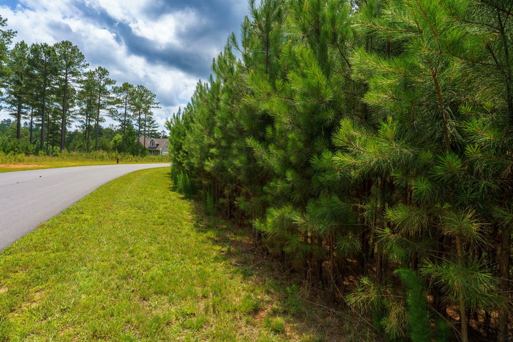 Lot 343 Loop Lane