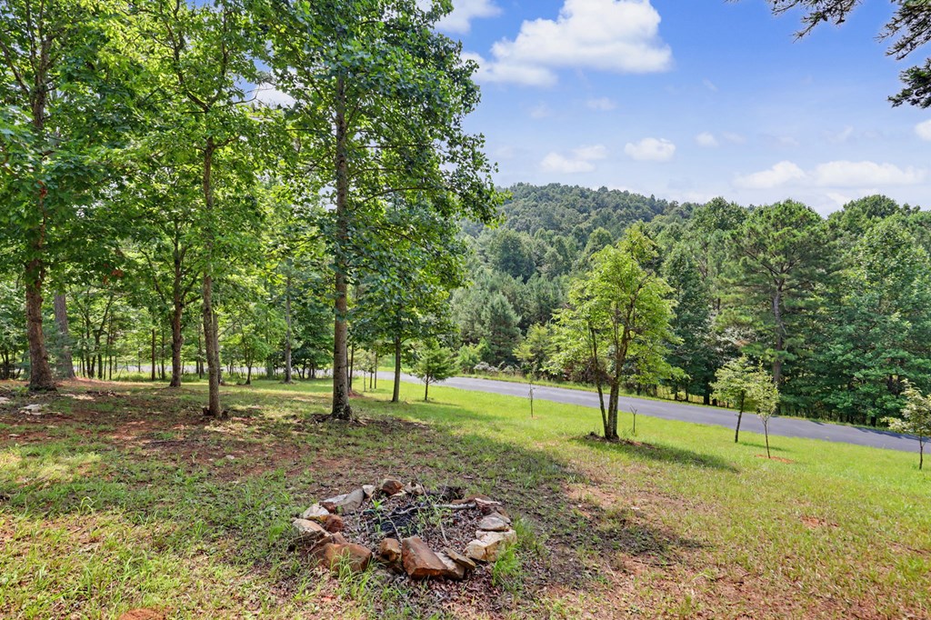 539 Summer Cove Road
