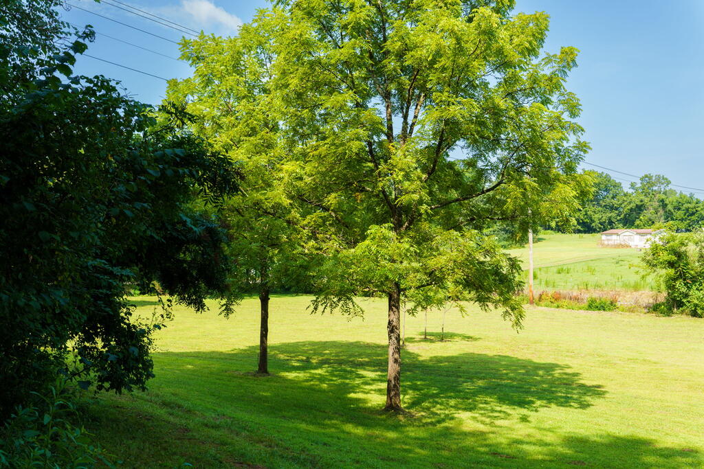 45 Green Cove Road