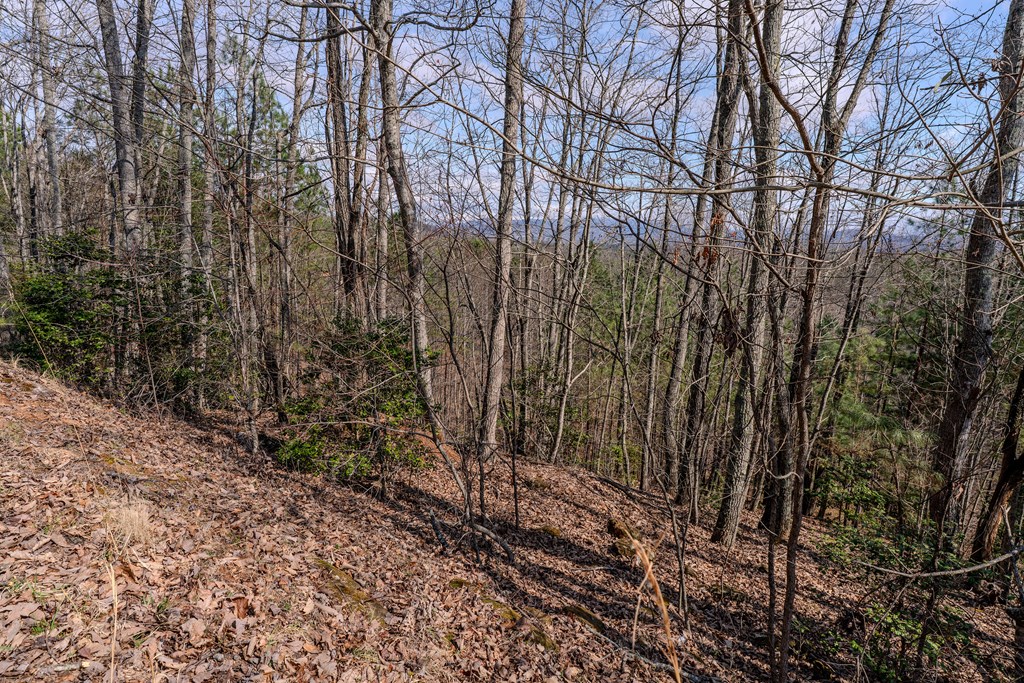 19/20 The Hills At Queens Gap