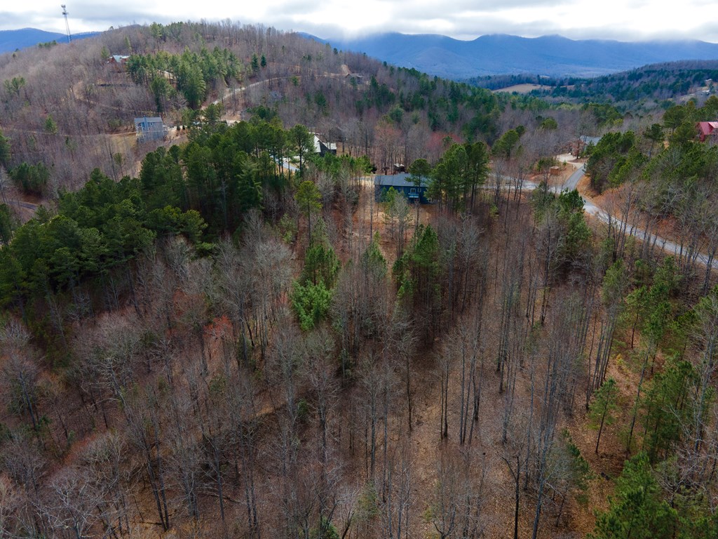 19/20 The Hills At Queens Gap