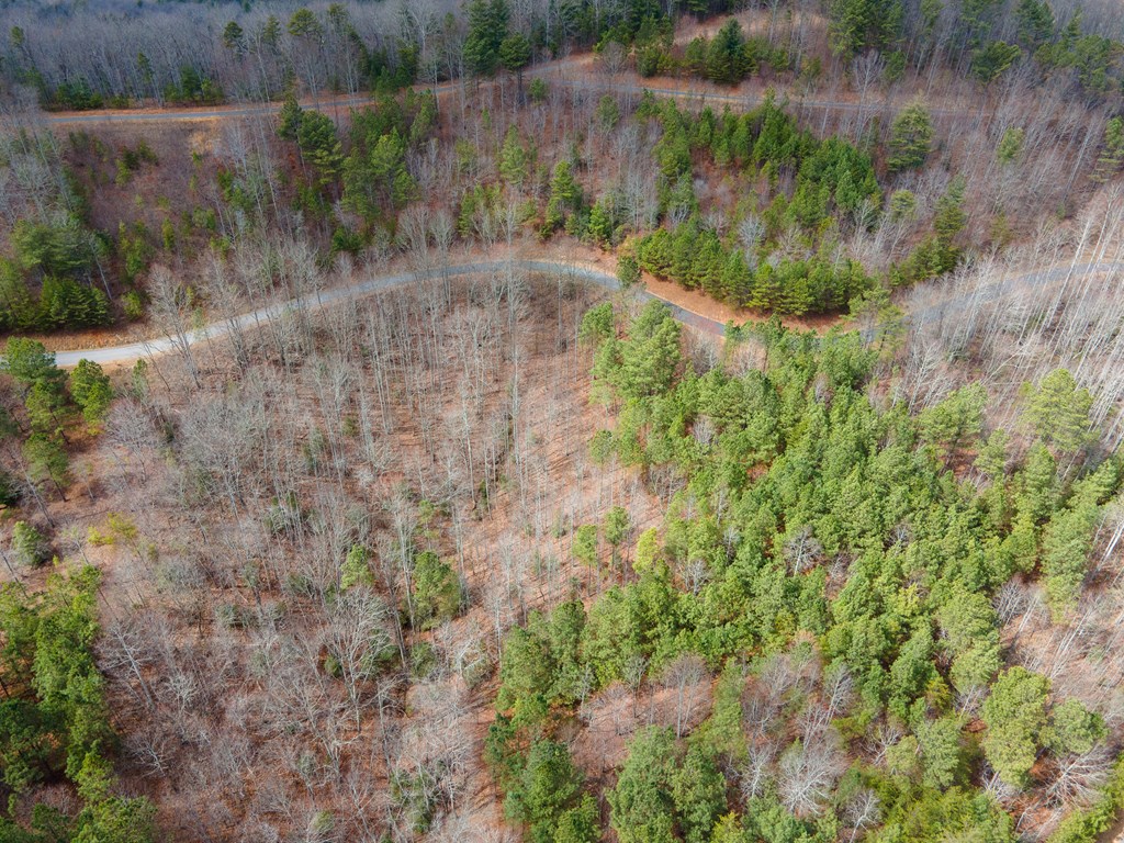 19/20 The Hills At Queens Gap