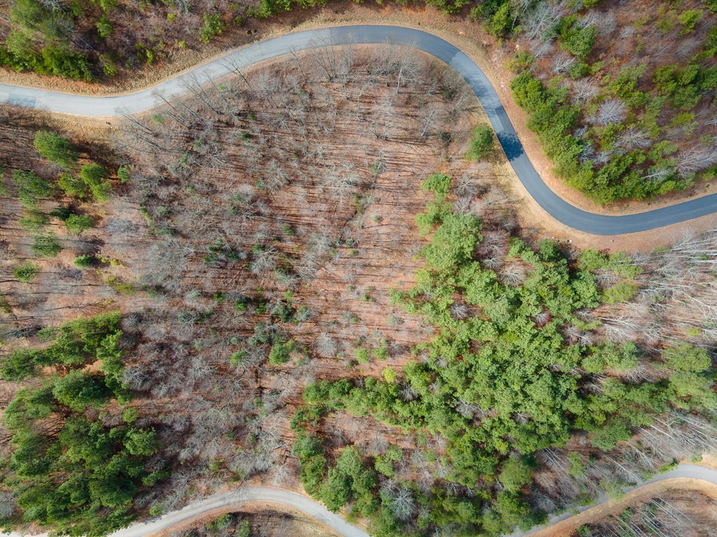 19/20 The Hills At Queens Gap