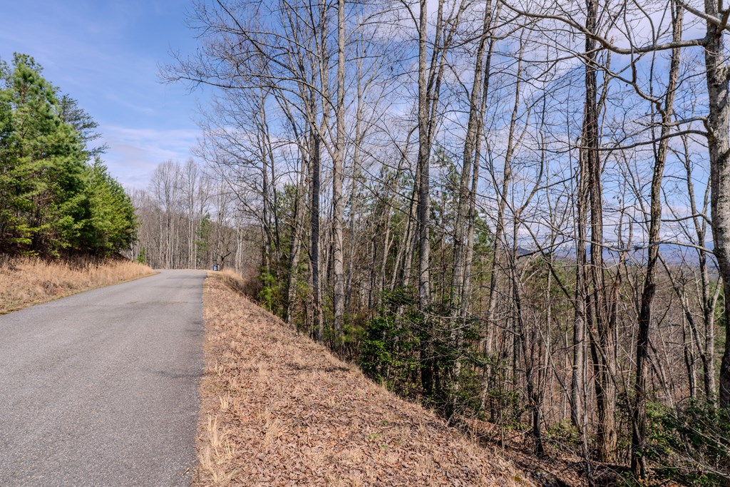 19/20 The Hills At Queens Gap