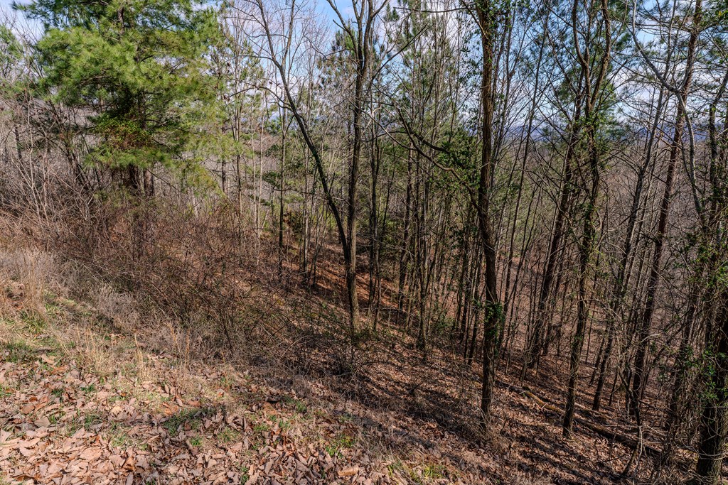19/20 The Hills At Queens Gap