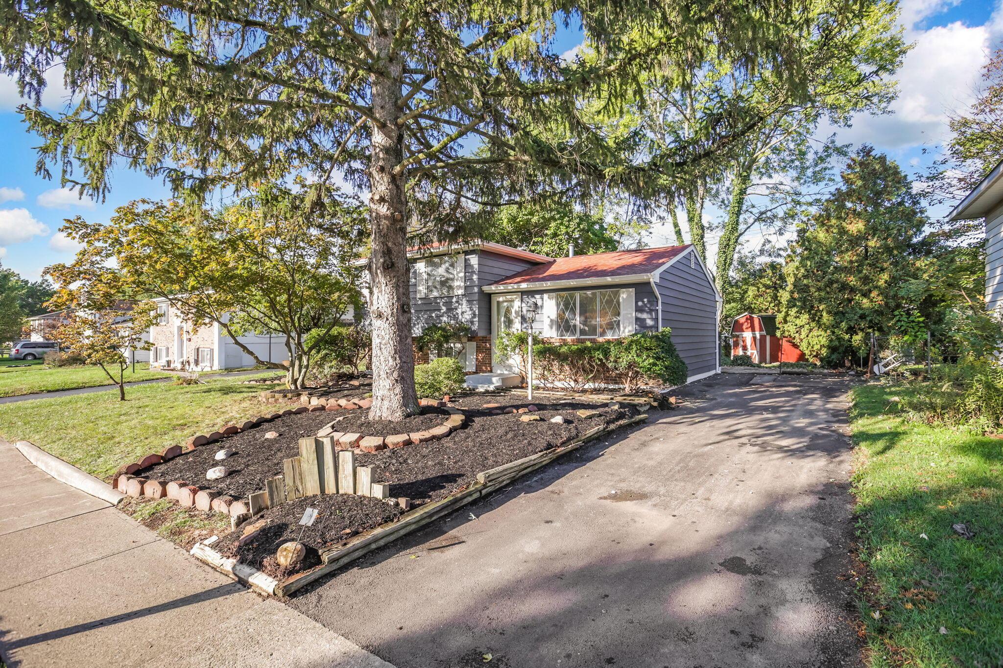 6255 Carthage Drive