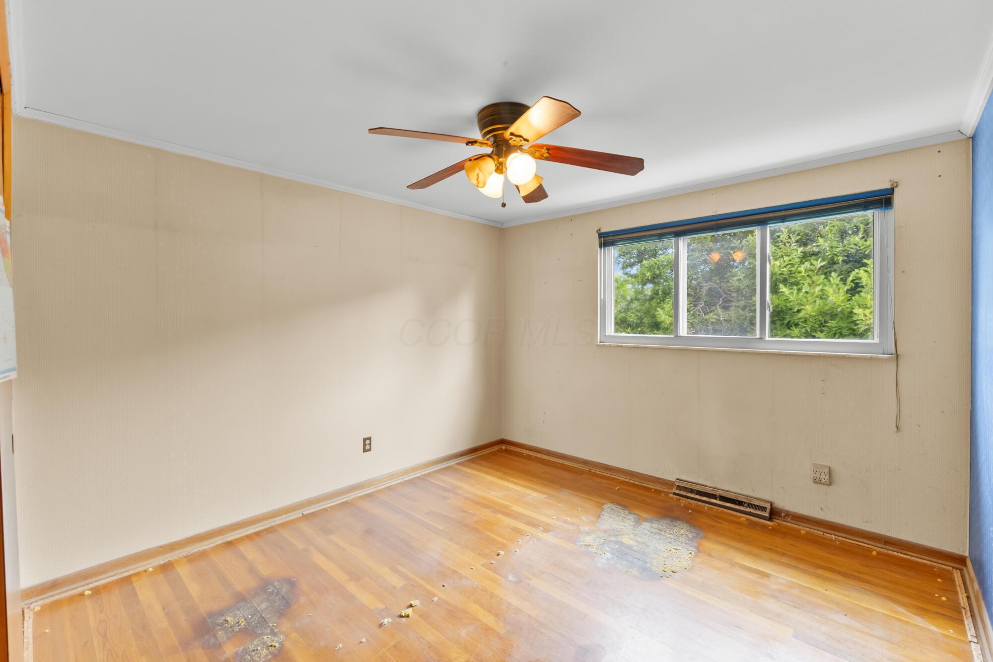 975 Lornaberry Lane